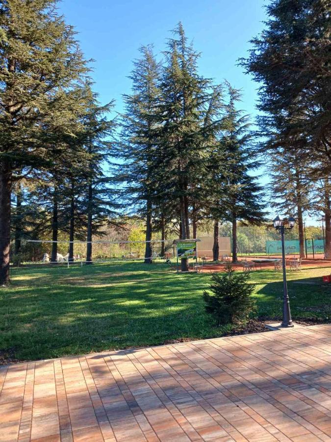 Roomsapartments Popcourt Pancevo Bagian luar foto